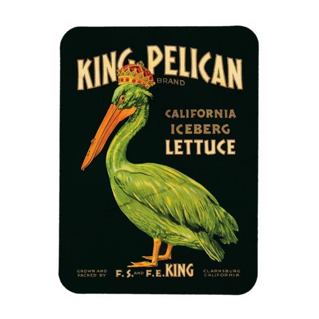 Kung Pelican Iceberg Lettuce Magnet (Vertikal)