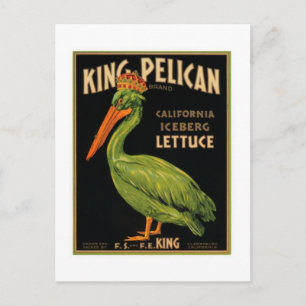 Kung Pelican Lettuce Vykort