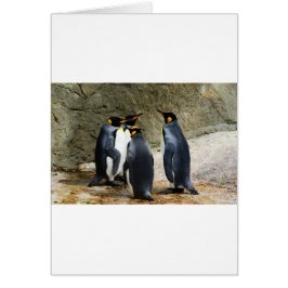Kung Penguin Hälsningskort