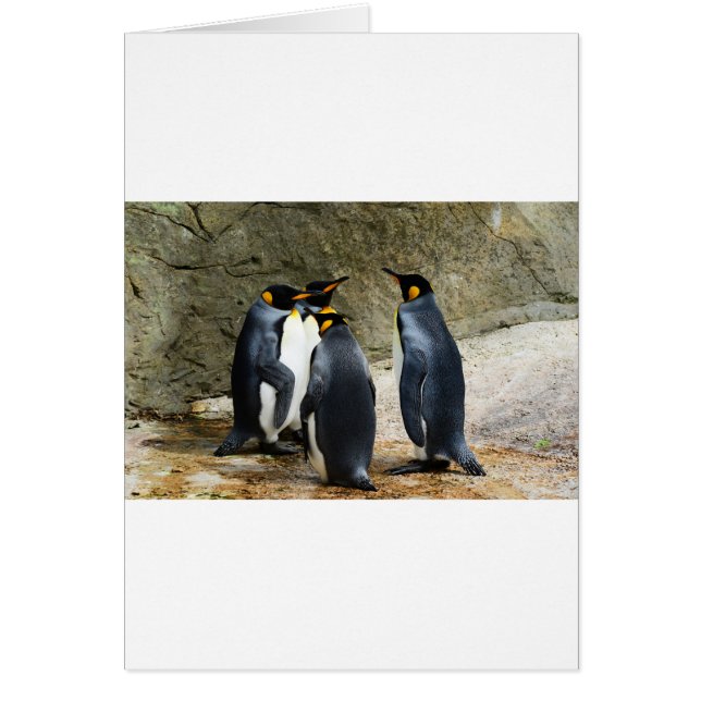 Kung Penguin Hälsningskort (Framsidan)