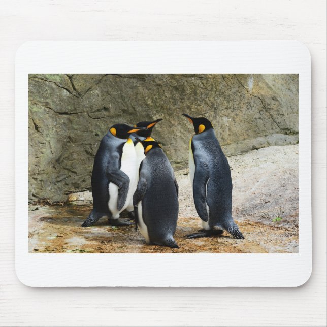 Kung Penguin Musmatta (Framsidan)