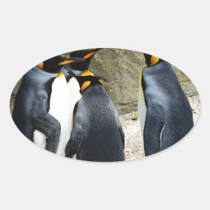 Kung Penguin Ovalt Klistermärke