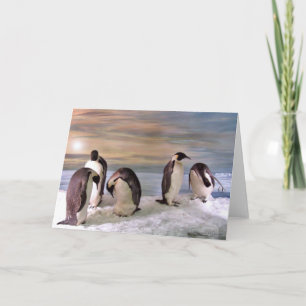 Kung penguiner kort