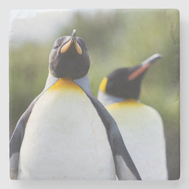 Kung penguiner underlägg sten (Framsidan)