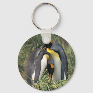 Kung penguins Älskare Nyckelring