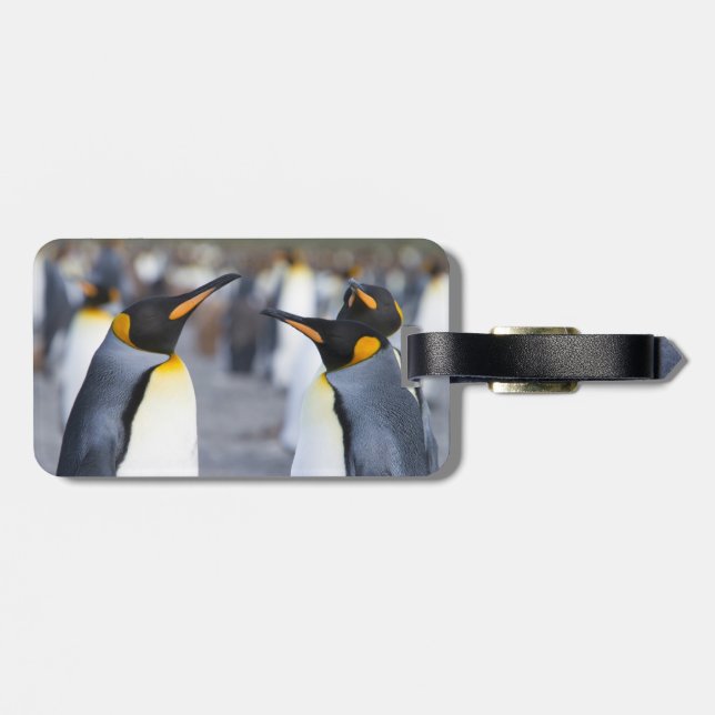 Kung Penguins Bagagebricka (Baksida Vågrät)
