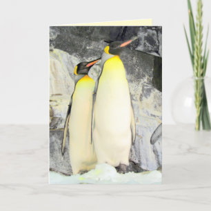 Kung Penguins gratulationskort Kort