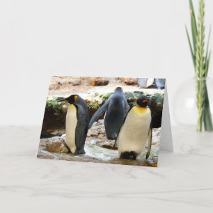 Kung Penguins Helgkort