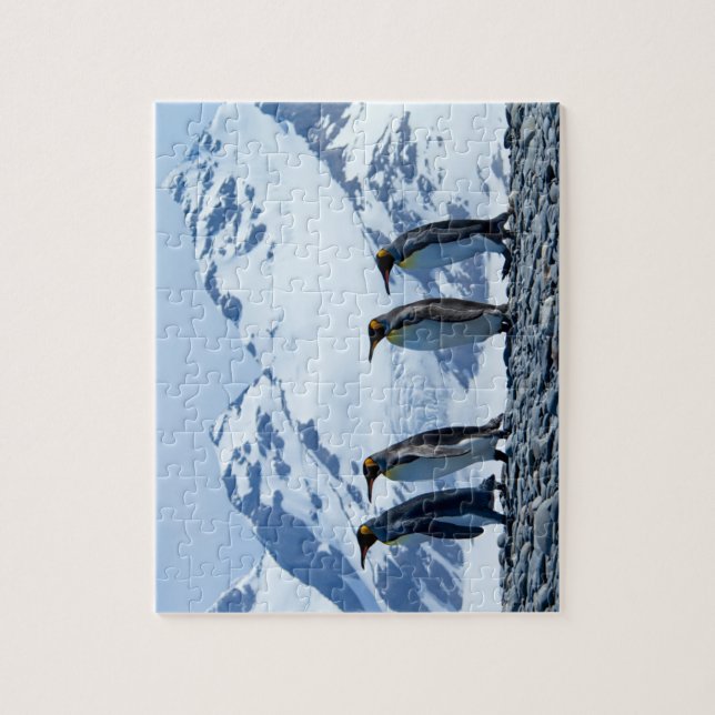 Kung Penguins i Sydgeorgien Pussel (Vertikal)