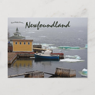 Kung Point Newfoundland Kanada Vykort