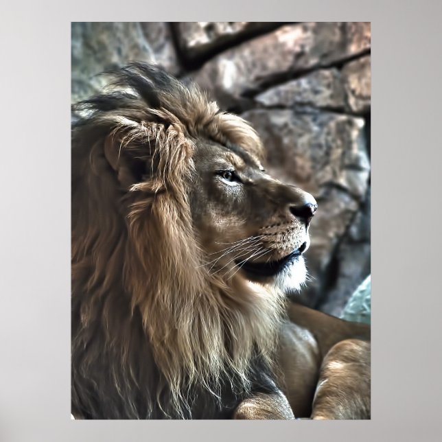 Kung Poster (Framsidan)