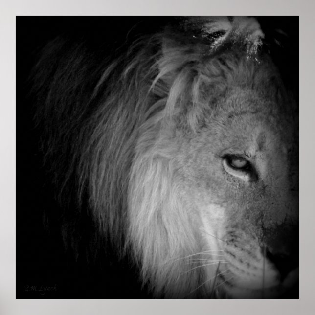 Kung Pride Poster (Framsidan)