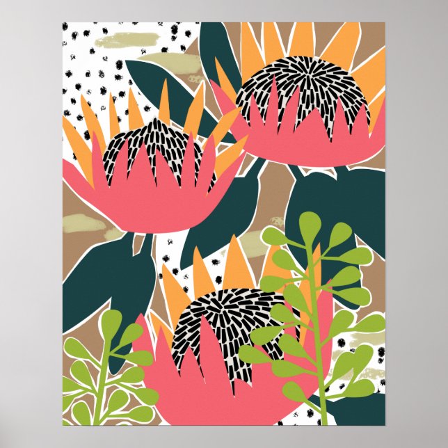 Kung Protea I Poster (Framsidan)