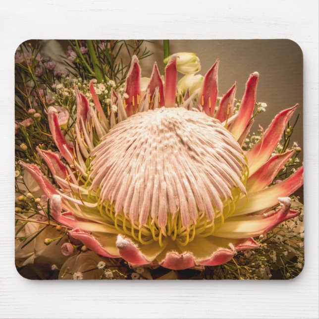 Kung Protea mousepad Musmatta (Framsidan)