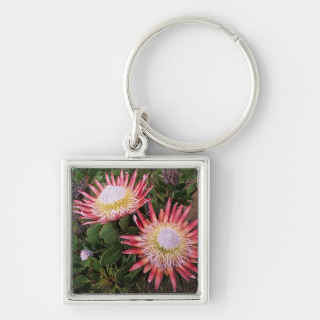 Kung Protea (Protea Cynaroides), Helderberg Fyrkantig Silverfärgad Nyckelring (Framsidan)