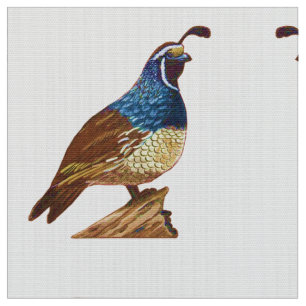 Kung Quail in White Tyg