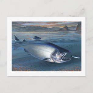 Kung Salmon-vykort Vykort