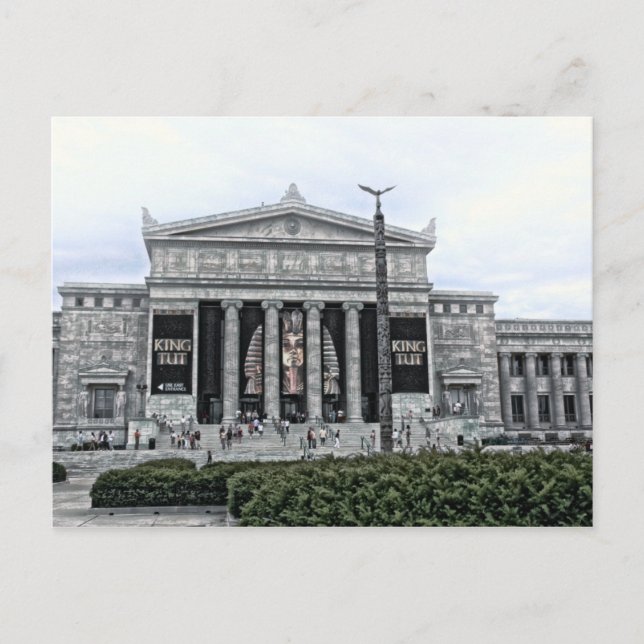 KUNG TUT Fält Museum-vykort Vykort (Framsida)
