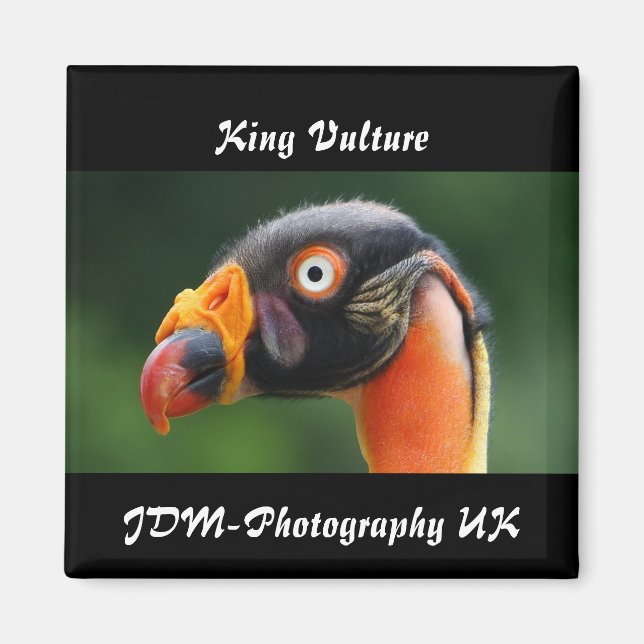 Kung Vculture Magnet (Framsidan)