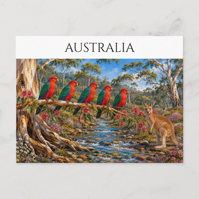 Kungapapegojströmm Australien Souvenir Vykort (Framsida)