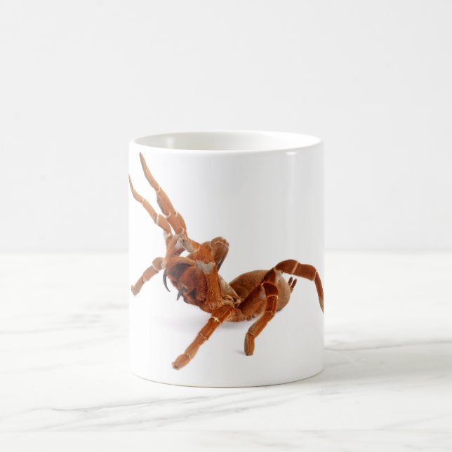KungBaboonTarantula. Kaffemugg (Center)