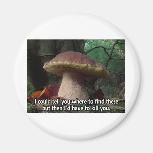 KungBolete - jag skulle måste att döda dig Magnet