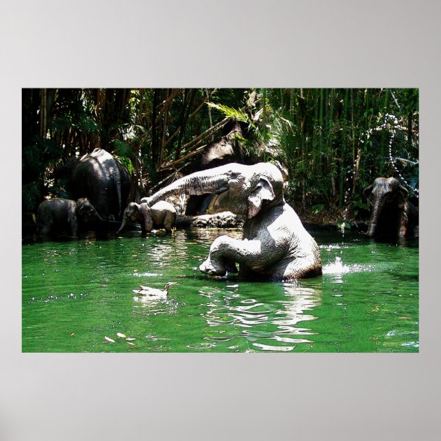 Kungel i jungeln 36 x 24 Poster (Framsidan)