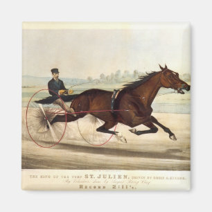 Kungen av torvan, 'St. Julien Magnet