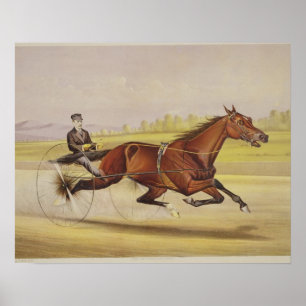 Kungen av torvan, "St. Julien" som är drivande vi Poster