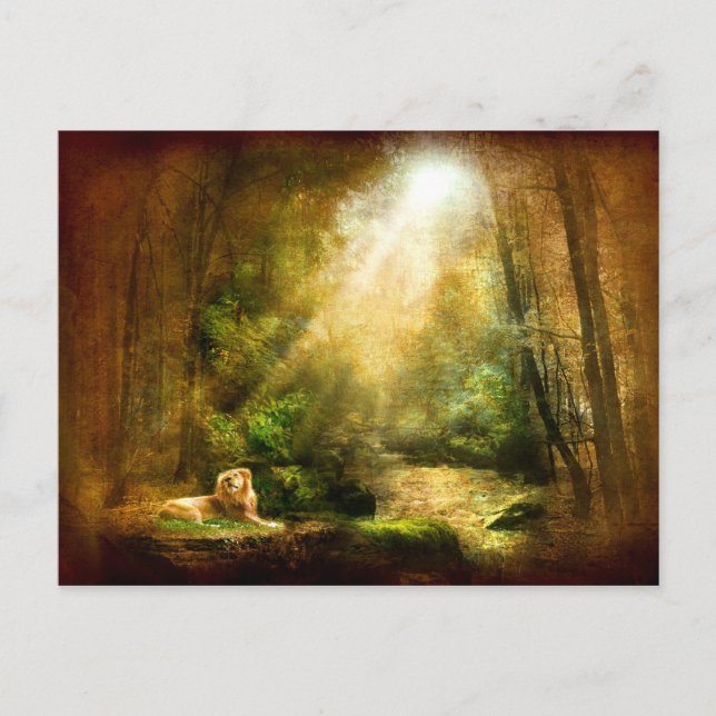 Kungens ödmjukhet vykort (Framsida)