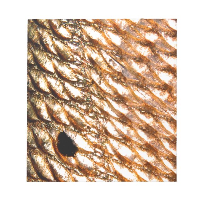 "Kungfisk" - Röd rom av PatternWear© Anteckningsblock (Framsida)