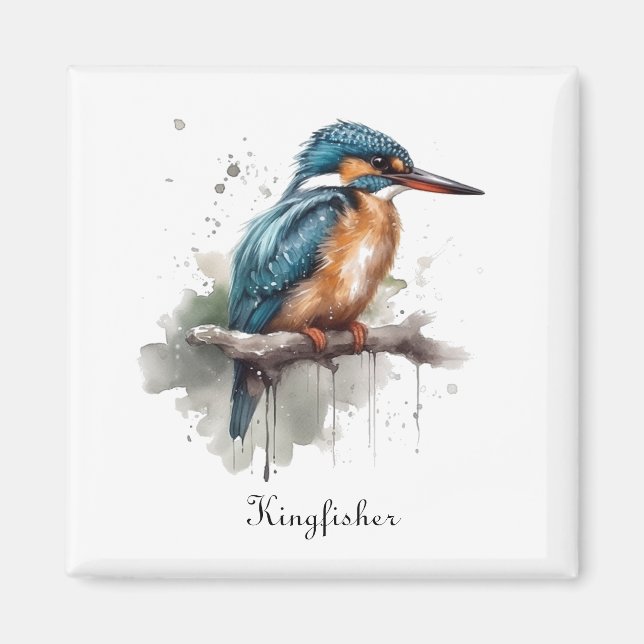 Kungfiskarens lugn magnet (Framsidan)