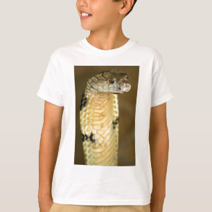 kungkobra t shirt