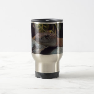 Kungkobrafoto Resemugg