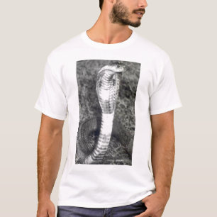 kungkobraskjorta t shirt