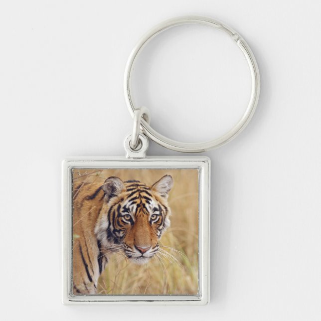 Kunglig Bengalisk Tiger Fyrkantig Silverfärgad Nyckelring (Framsidan)