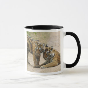 Kunglig Bengalisk Tiger och unge - Beröring framåt Mugg