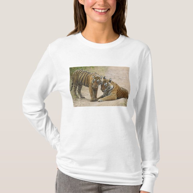 Kunglig Bengalisk Tiger och unge - Vidrör framtill Tee Shirt (Framsida)