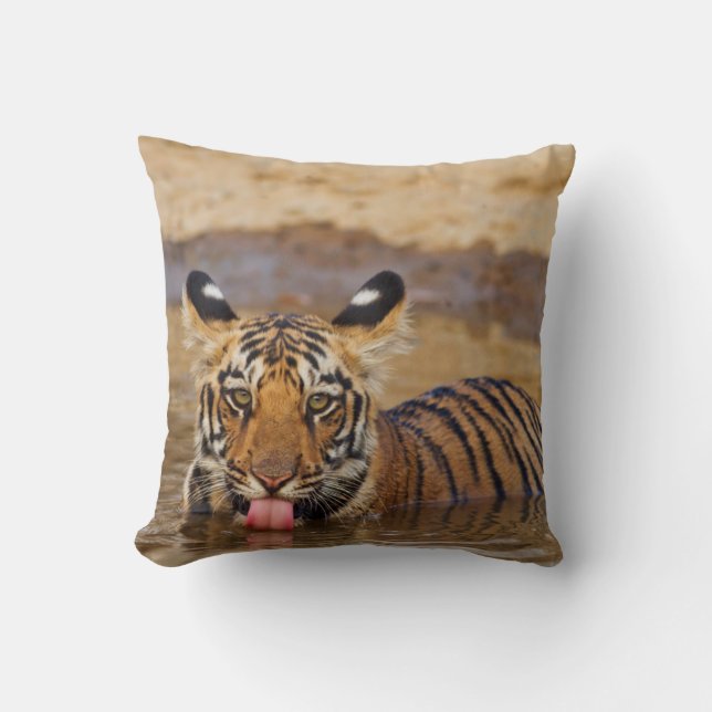 Kunglig Bengalisk Tigerunge, dricker vatten Kudde (Framsida)