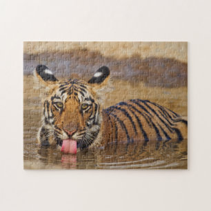 Kunglig Bengalisk tigerunge, dricker vatten Pussel