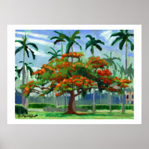 Kunglig Poinciana affisch