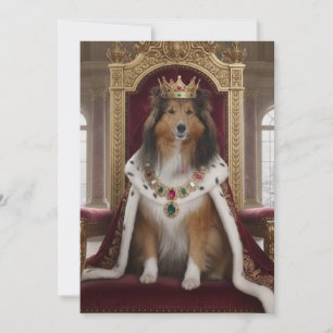 Kunglig Sheltie Inbjudningar
