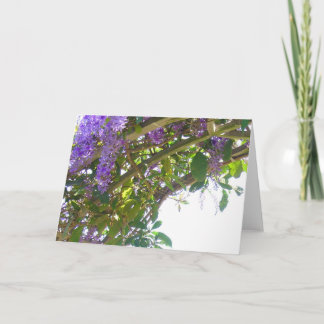 Kunglig spaljé kort