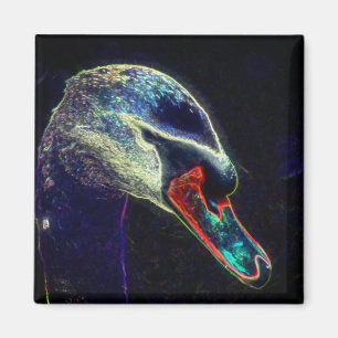 Kunglig svan Abstrakt naturkonst Magnet