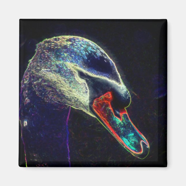 Kunglig svan Abstrakt naturkonst Magnet (Framsidan)