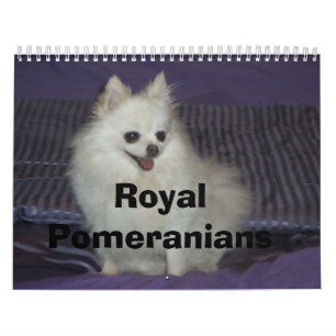 Kungliga Pomeranians Kalender