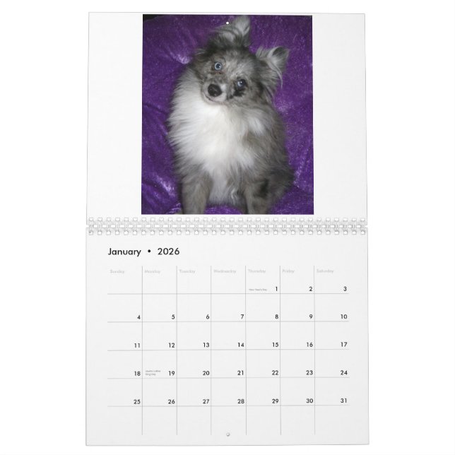 Kungliga Pomeranians Kalender (Jan 2026)