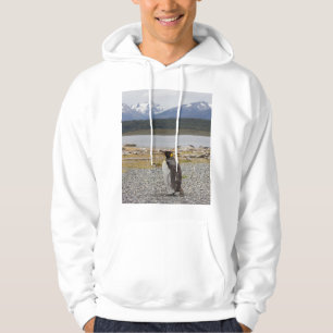Kungpingvin, Isla Martillo, Tierra Del Fuego Hoodie