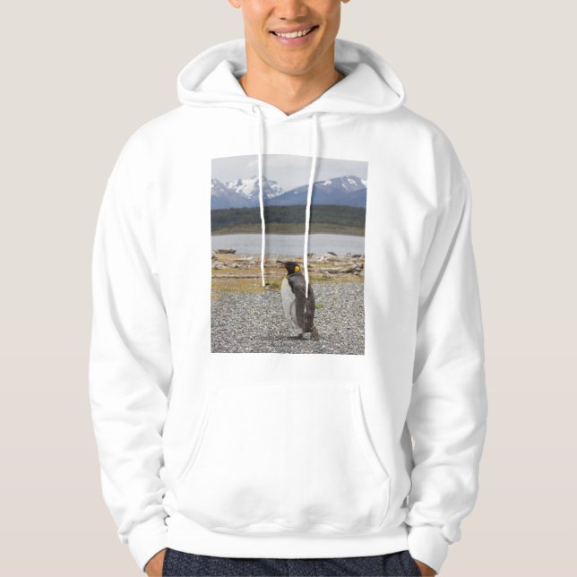 Kungpingvin, Isla Martillo, Tierra Del Fuego Hoodie (Framsida)