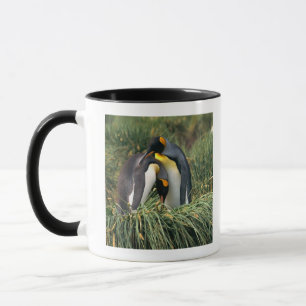 Kungpingvin som nuzzling mugg